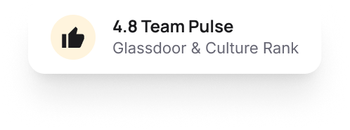 4.8 team pulse